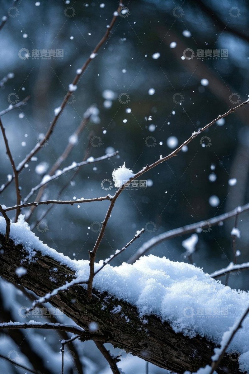 高清大图下载【趣麦麦图】枝头落雪的冬日景象