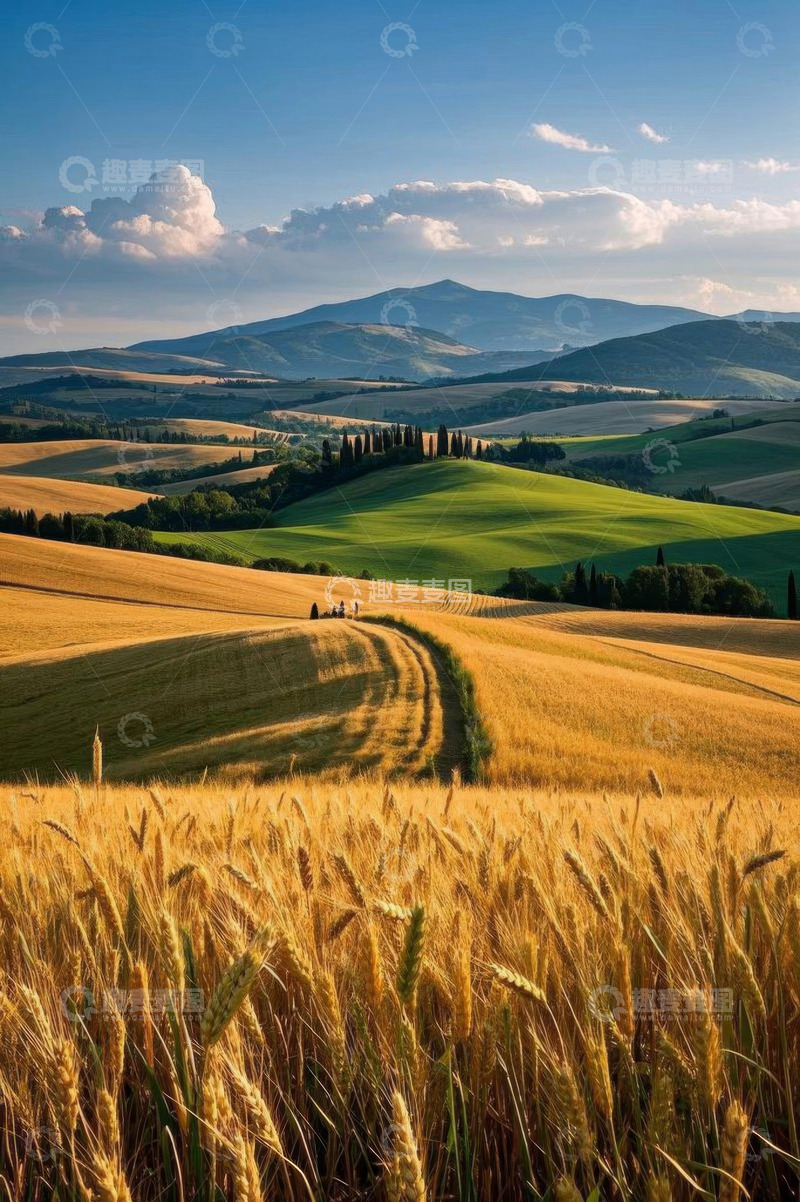 高清大图下载【趣麦麦图】意大利田园麦田风光