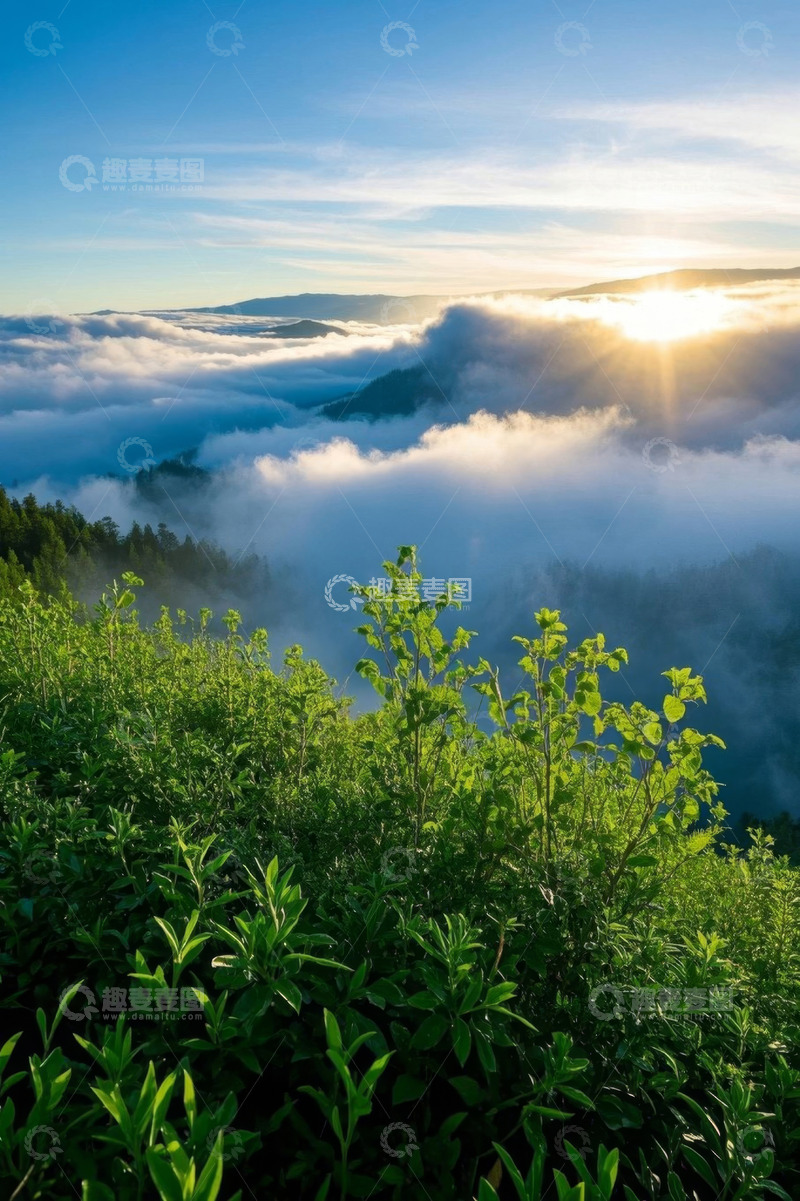 高清大图下载【趣麦麦图】山顶云海日出自然风光
