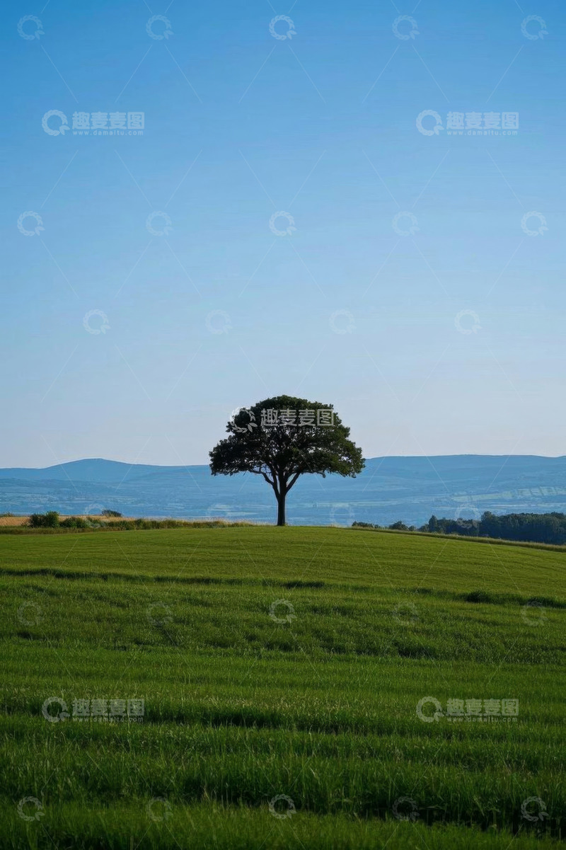 高清大图下载【趣麦麦图】田野中独立的树木风景