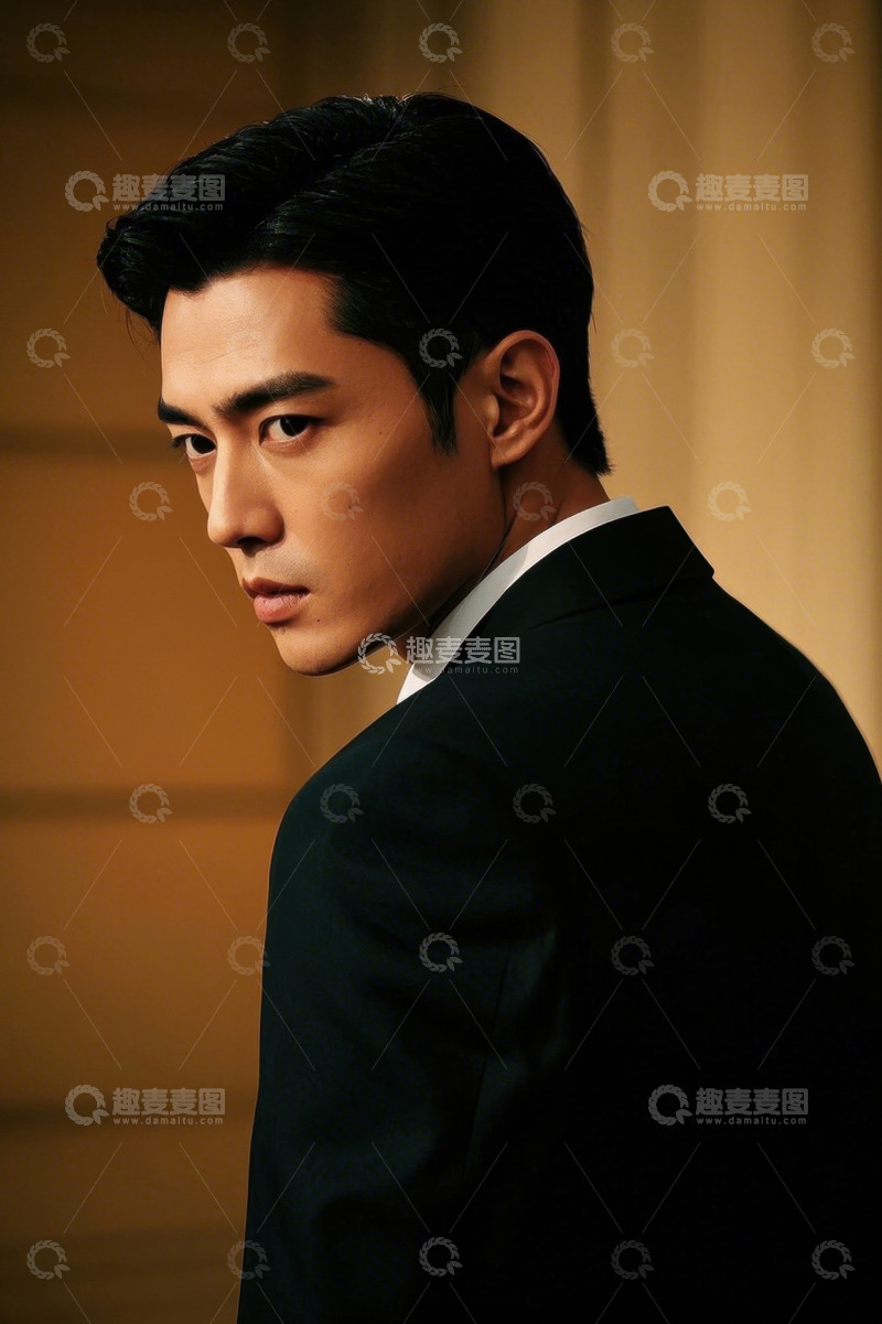 高清大图下载【趣麦麦图】西装革履男子侧身回眸凝视