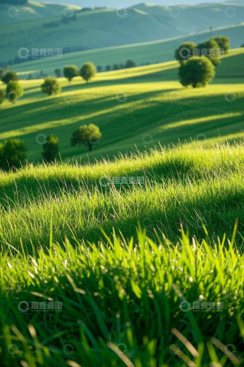 高清大图下载【趣麦麦图】绿色草原山丘与树木风景