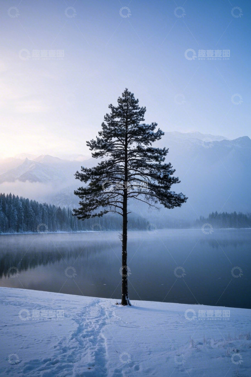 高清大图下载【趣麦麦图】雪后湖畔孤树与远山景观
