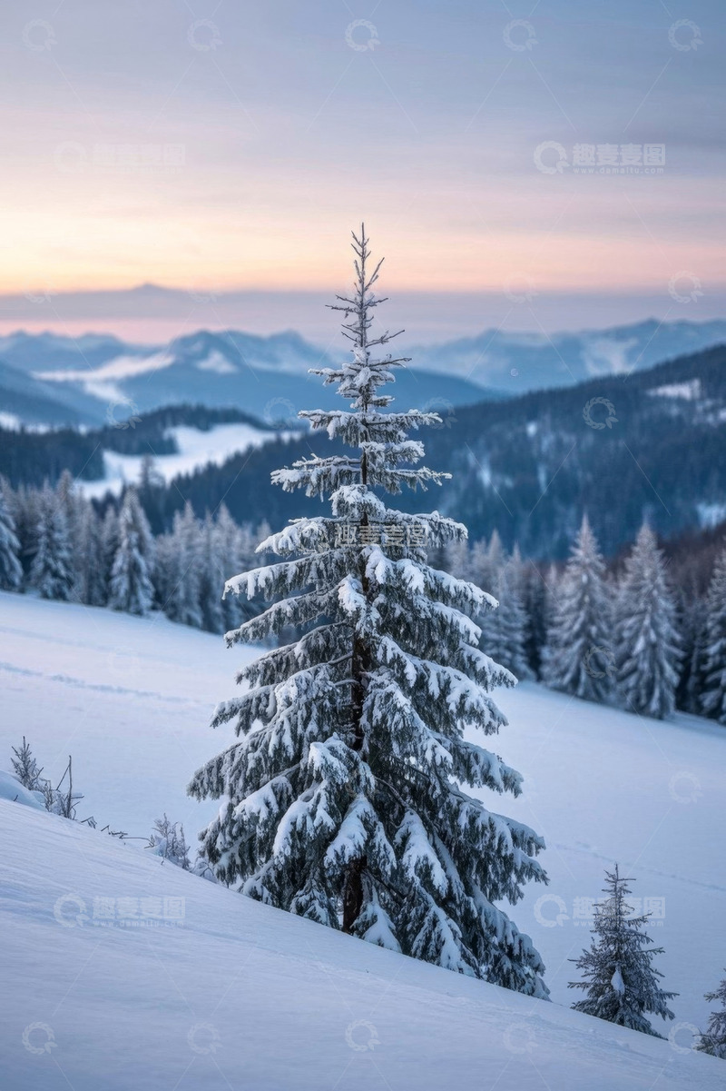 高清大图下载【趣麦麦图】雪中山间孤树自然风光