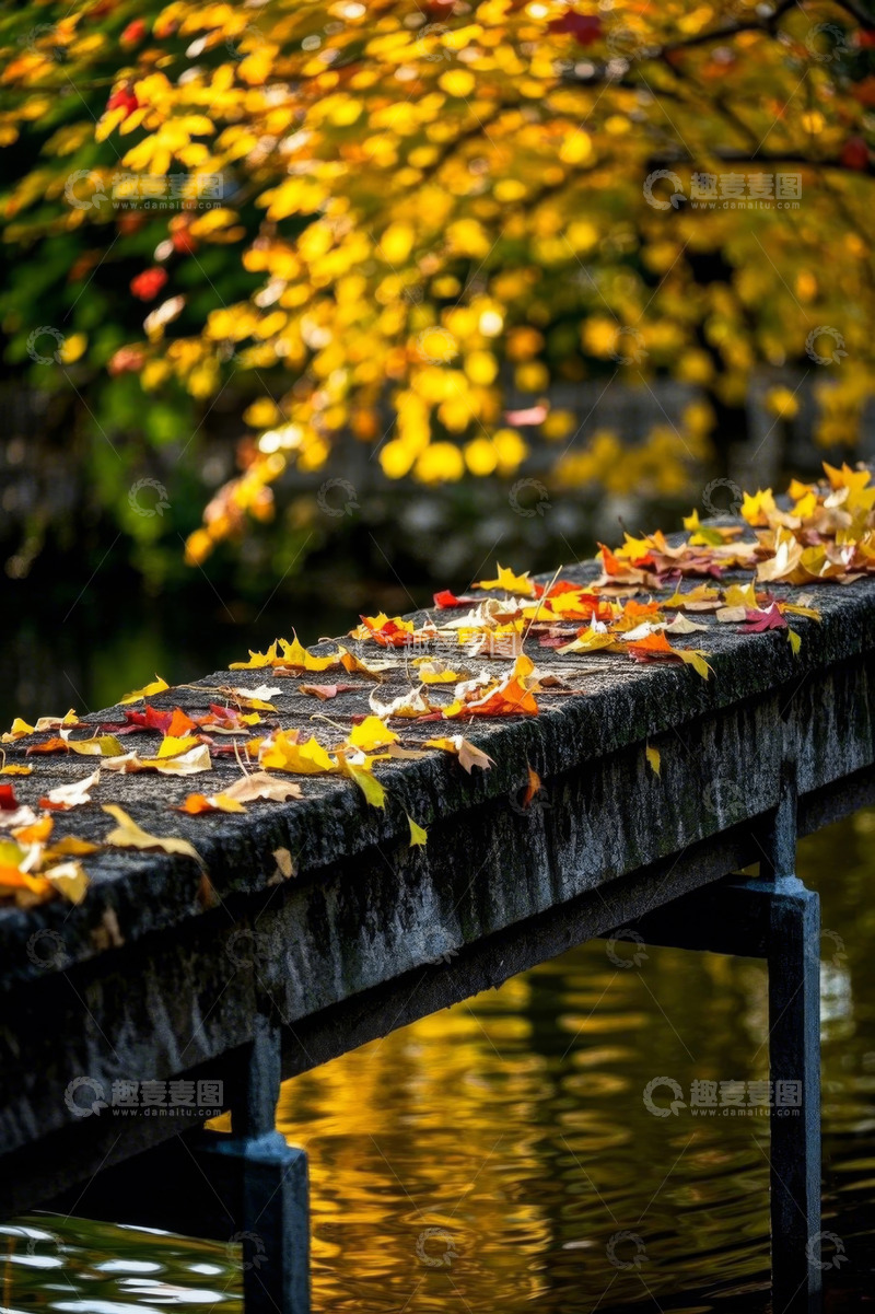高清大图下载【趣麦麦图】秋日石桥落叶与水面风景