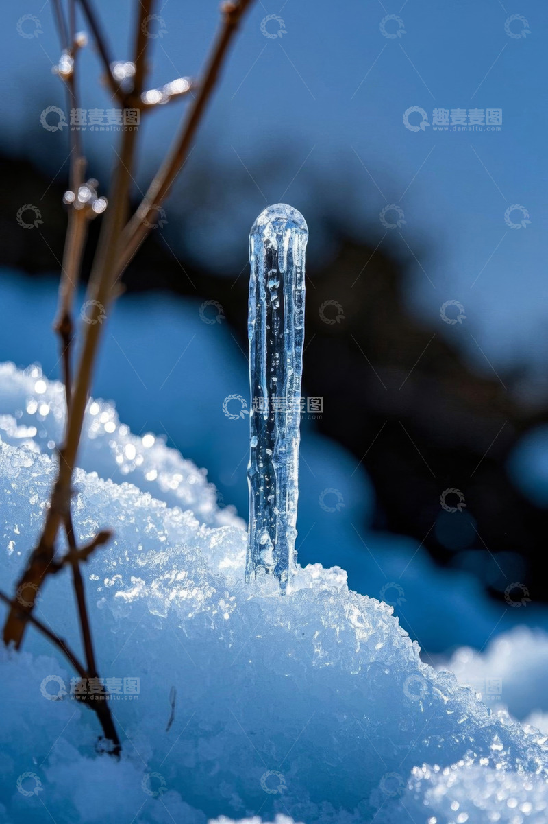 高清大图下载【趣麦麦图】冰雪中的冰柱特写