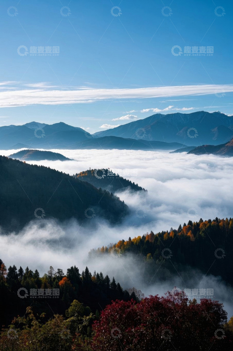 高清大图下载【趣麦麦图】山间云海森林自然风光
