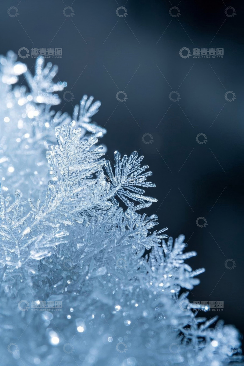高清大图下载【趣麦麦图】微距特写雪花细节