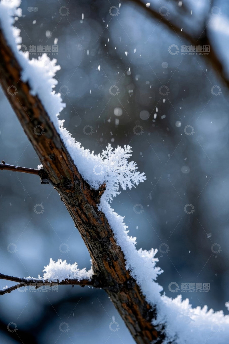 高清大图下载【趣麦麦图】枝头落雪的自然景象
