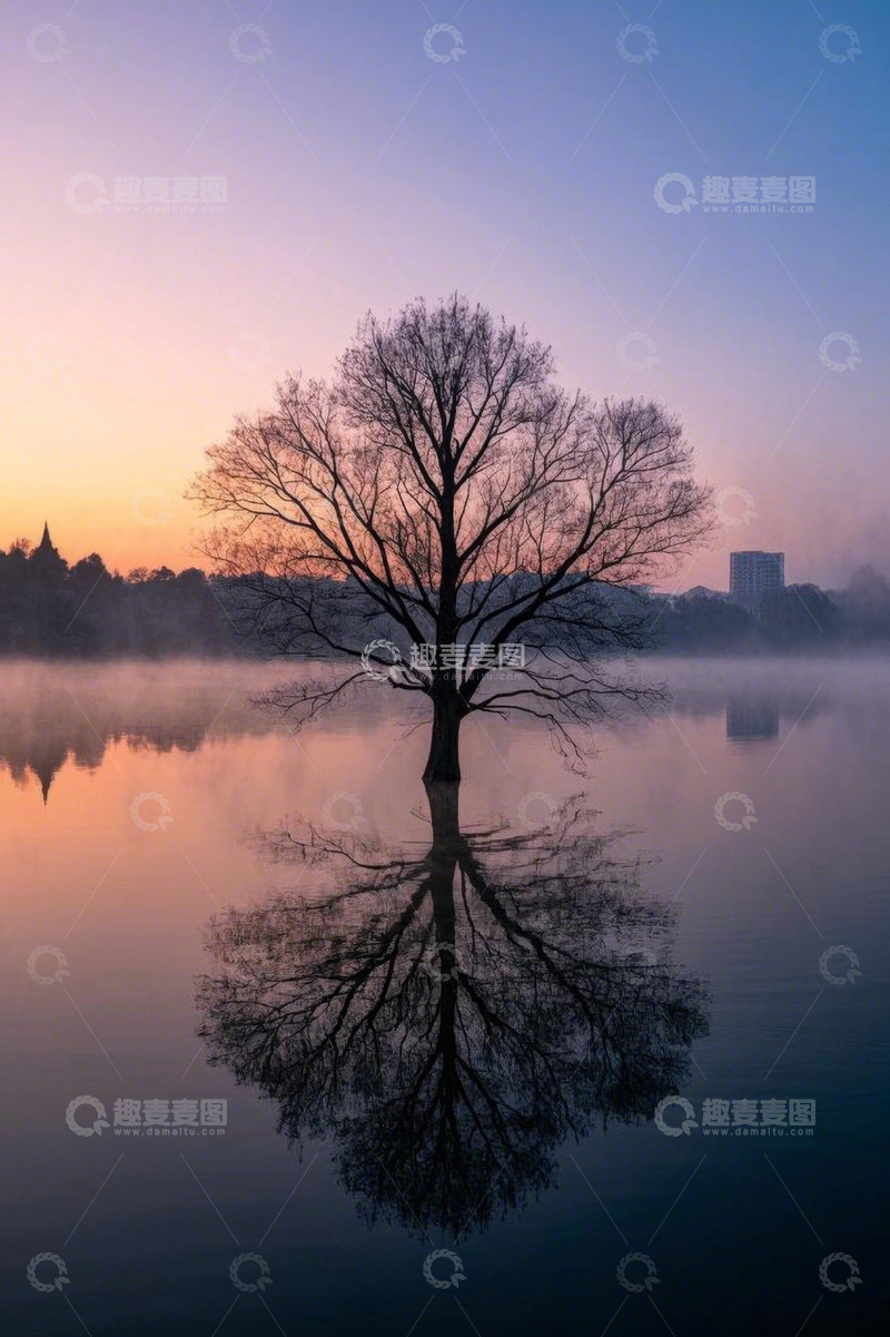 高清大图下载【趣麦麦图】湖畔树影日出自然风光