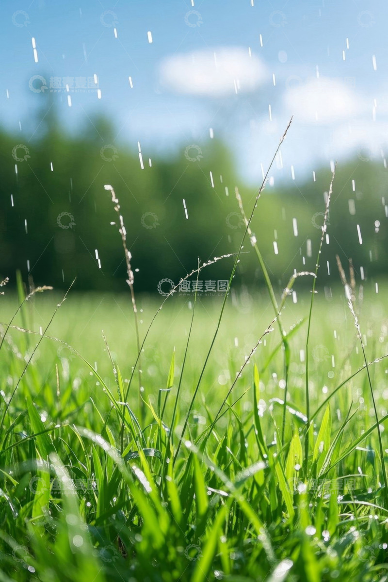 高清大图下载【趣麦麦图】阳光下草地飘洒雨滴景象