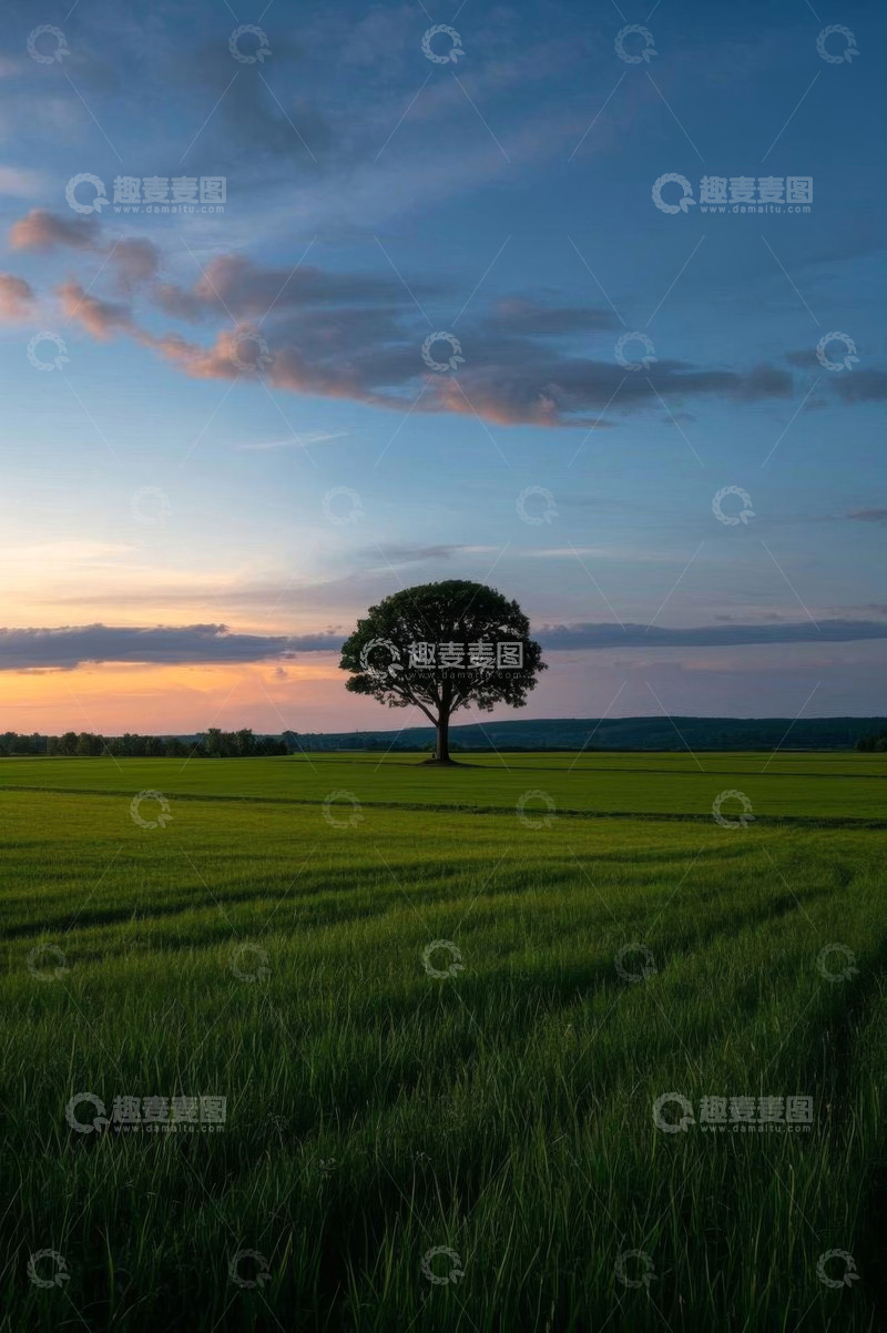 高清大图下载【趣麦麦图】田野中独树与黄昏天空景象