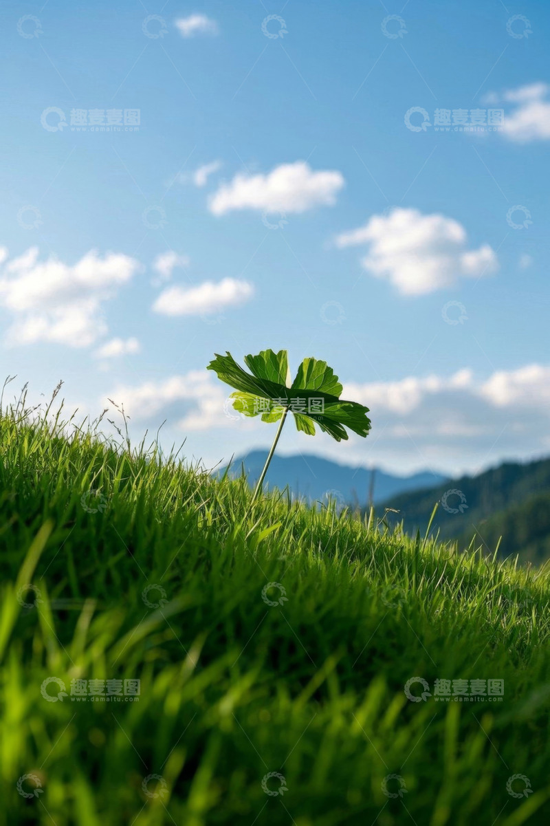 高清大图下载【趣麦麦图】草地上的绿叶与蓝天白云背景