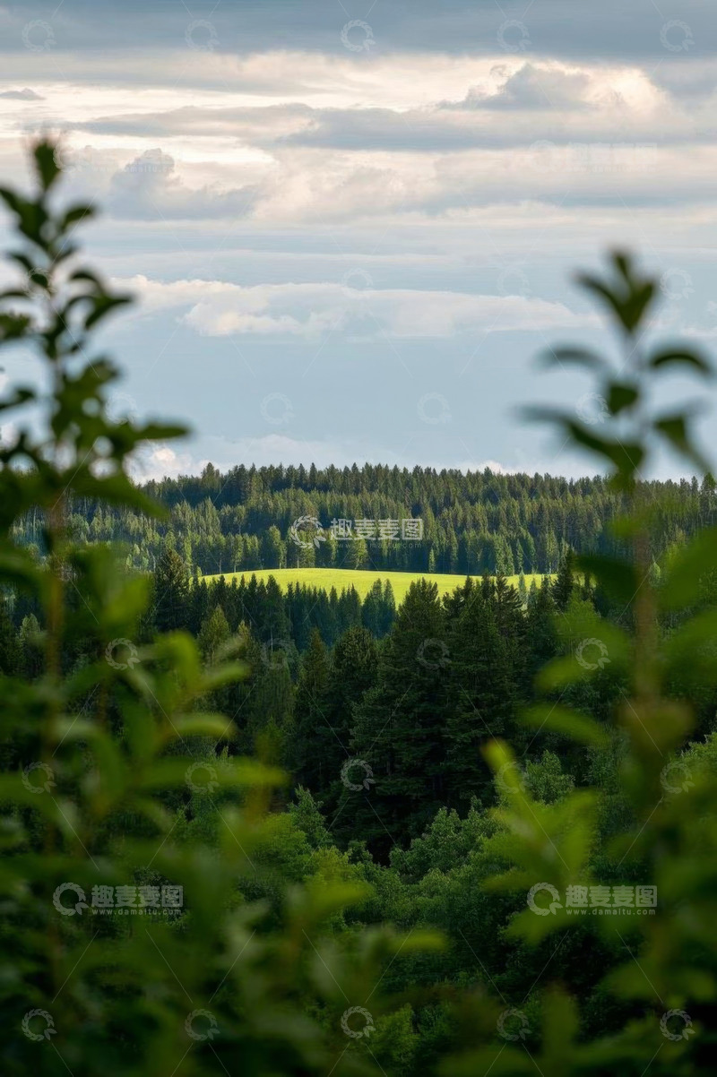高清大图下载【趣麦麦图】森林绿野与天空景观