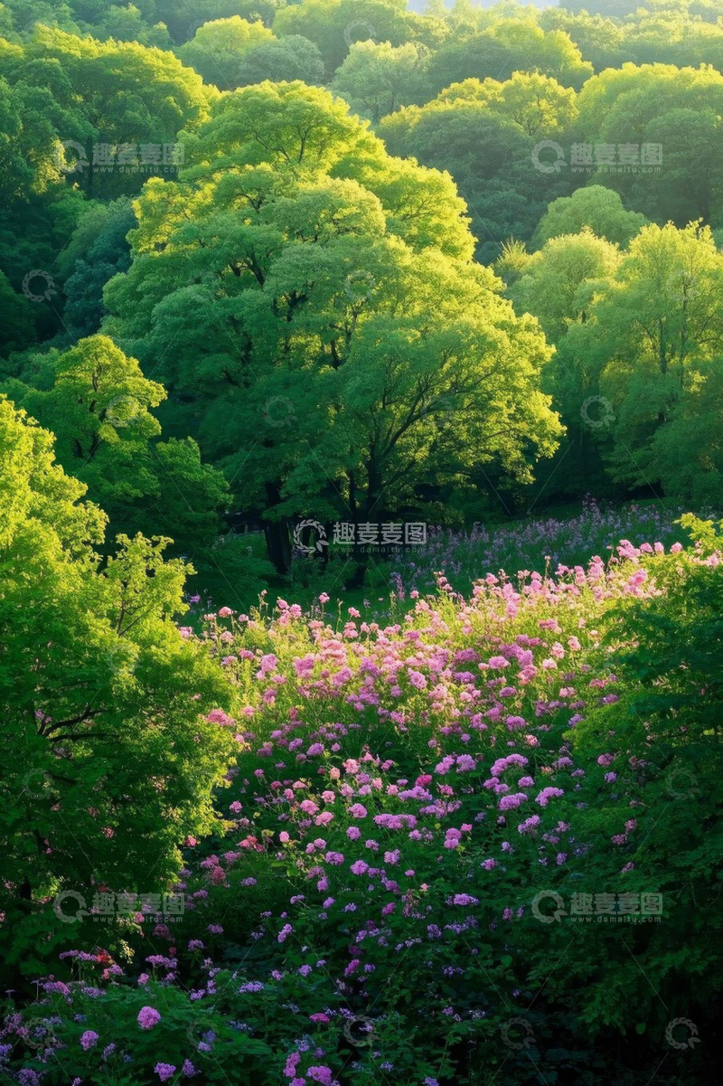 高清大图下载【趣麦麦图】森林中盛开的粉色花卉景观