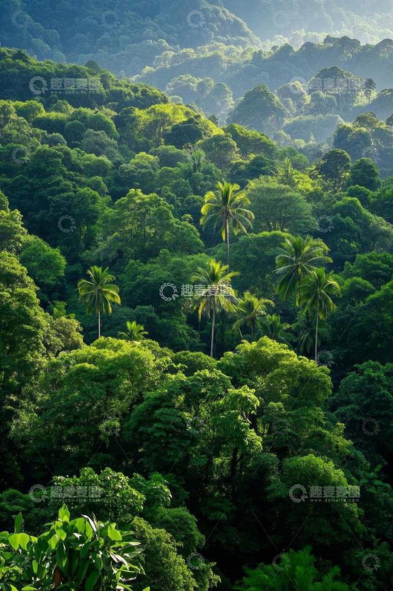 高清大图下载【趣麦麦图】茂密丛林中的热带风光