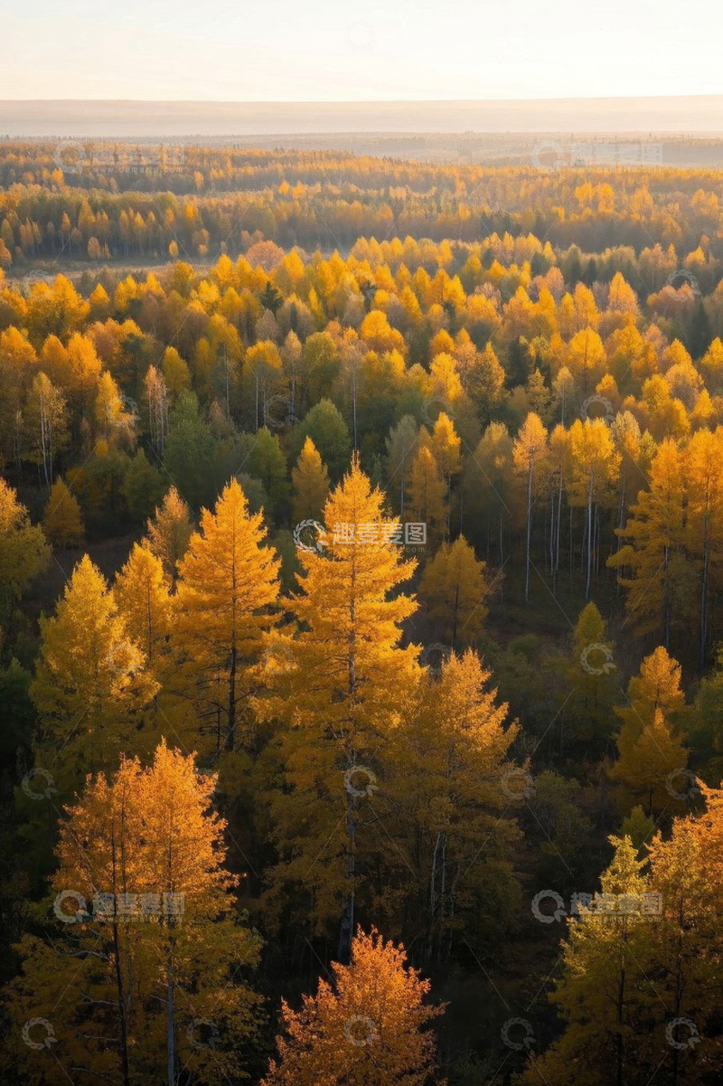高清大图下载【趣麦麦图】秋季森林全景俯瞰