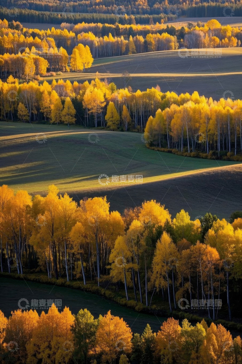 高清大图下载【趣麦麦图】秋季田野与金黄树林风景