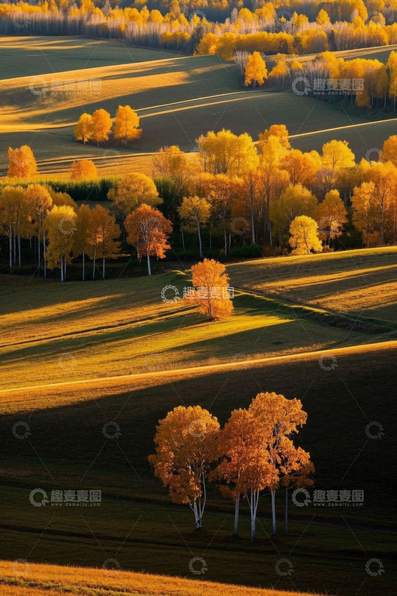 高清大图下载【趣麦麦图】秋季原野金黄树林风景