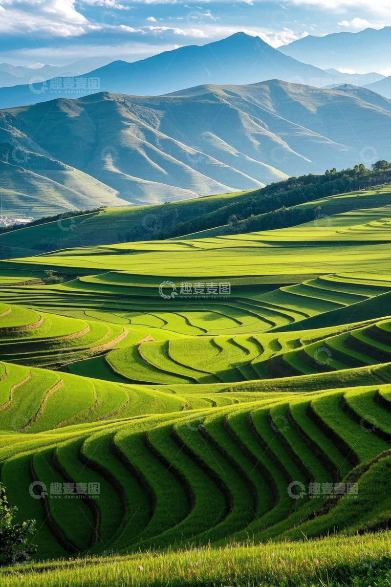 高清大图下载【趣麦麦图】田园梯田自然风光全景