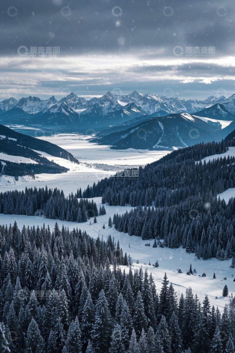 高清大图下载【趣麦麦图】雪山松林雪景全景