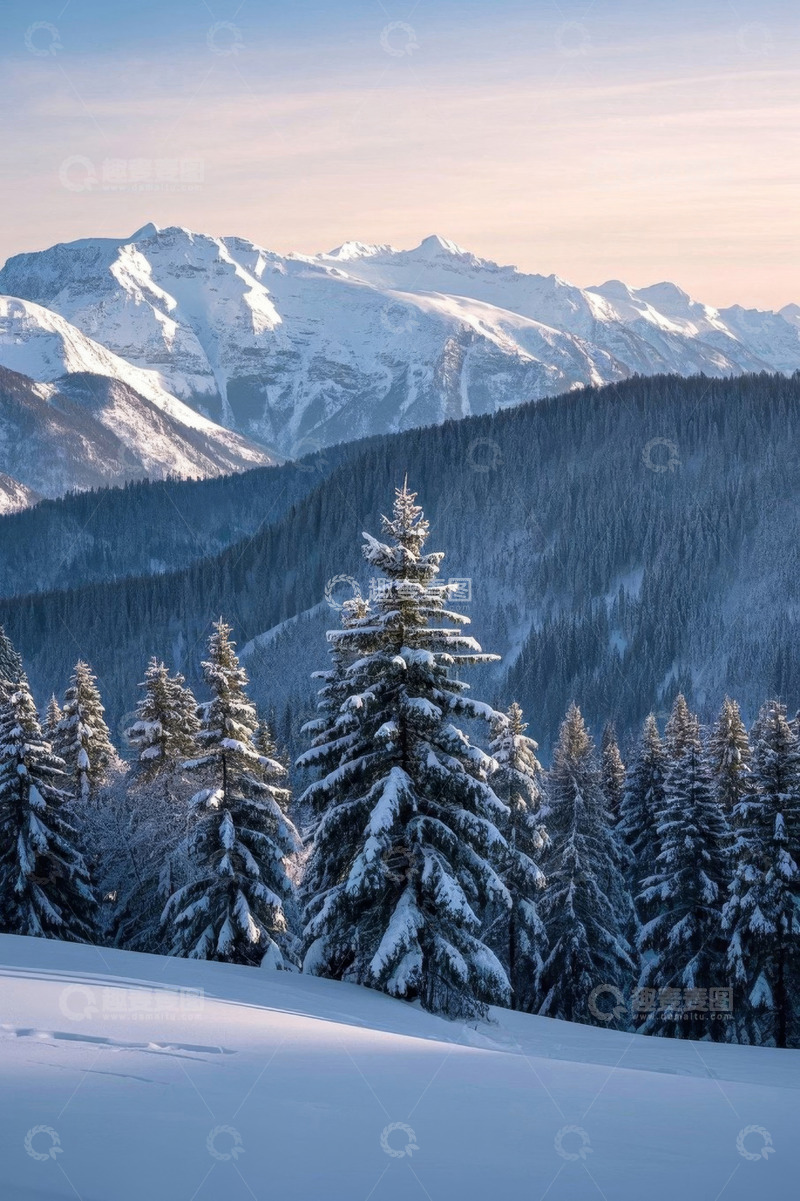 高清大图下载【趣麦麦图】雪山森林冬日自然景观