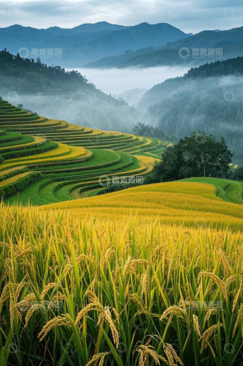 高清大图下载【趣麦麦图】田园梯田自然风光景色