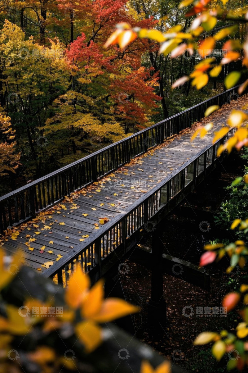 高清大图下载【趣麦麦图】秋日森林中的木质栈道