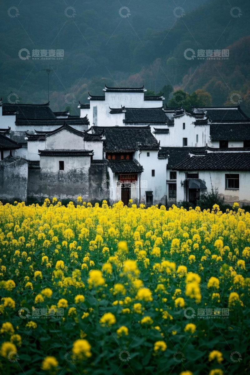 高清大图下载【趣麦麦图】油菜花田旁的徽派建筑群