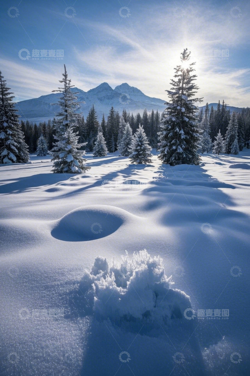 高清大图下载【趣麦麦图】雪覆森林与远山的自然景观