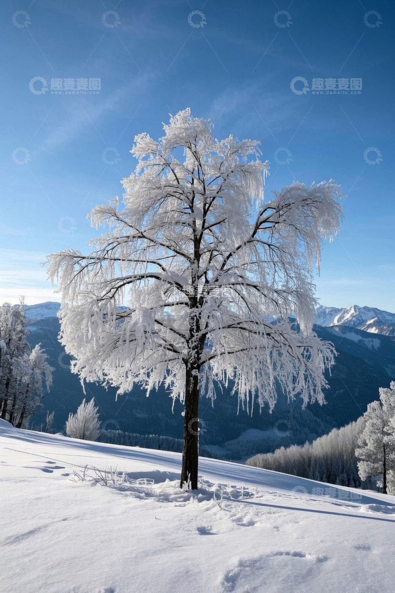高清大图下载【趣麦麦图】雪覆树木的山间冬日景象