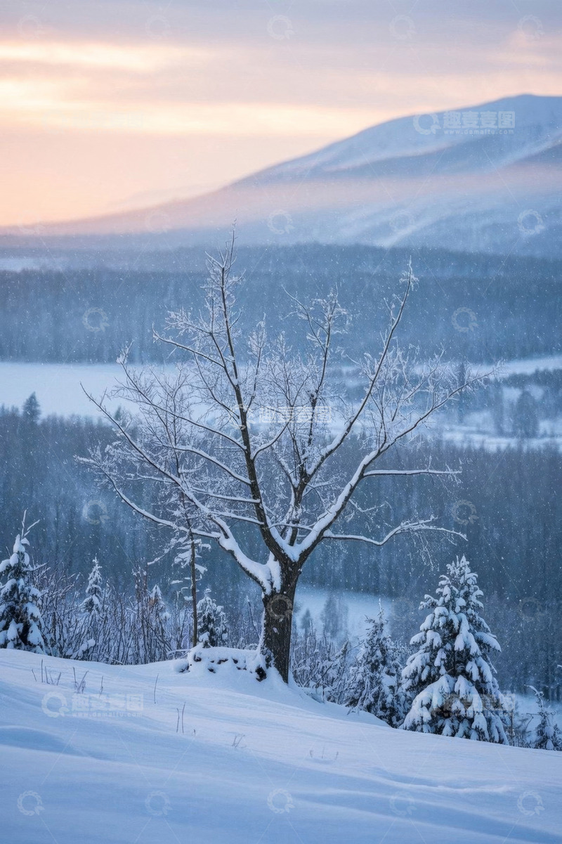 高清大图下载【趣麦麦图】冬日雪景中孤树与远山景观