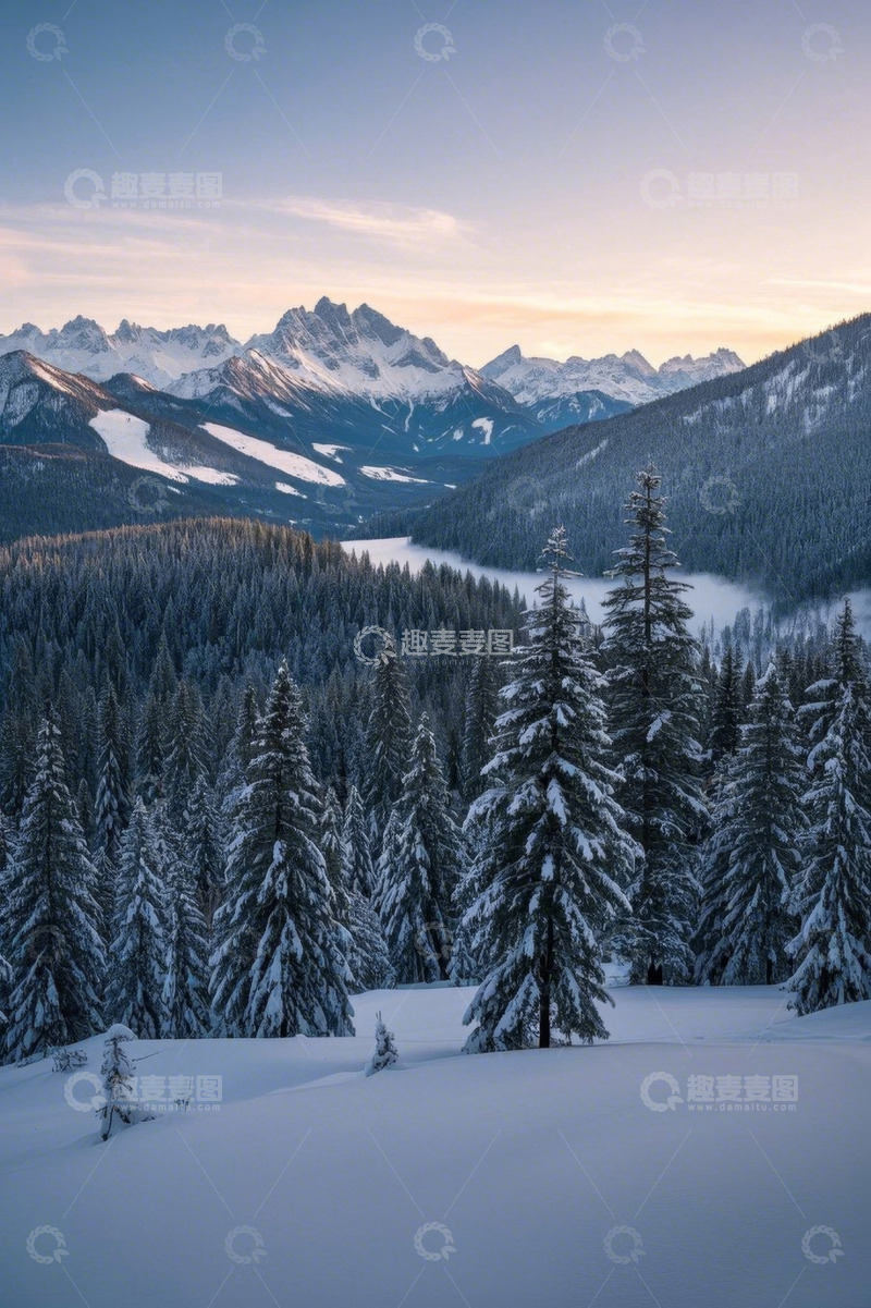 高清大图下载【趣麦麦图】雪山下被雪覆盖的森林景观
