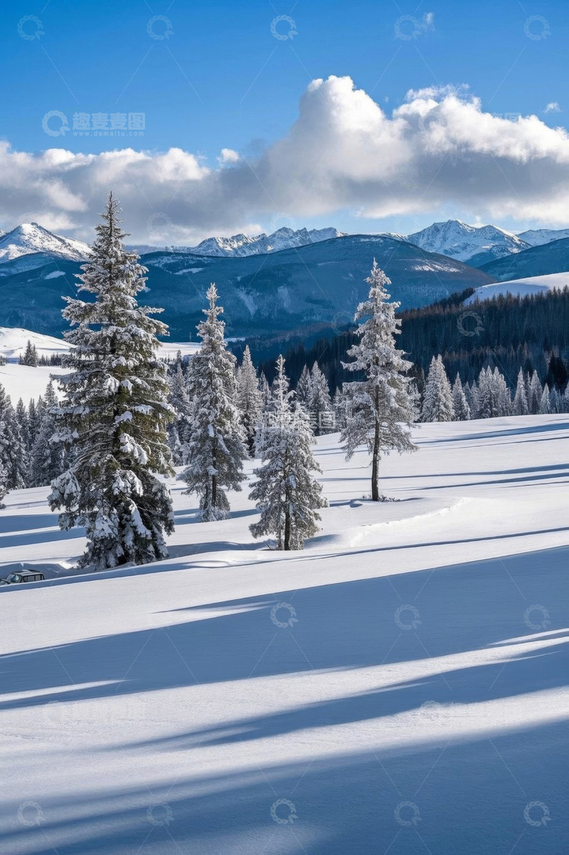 高清大图下载【趣麦麦图】雪山下被雪覆盖的森林景观