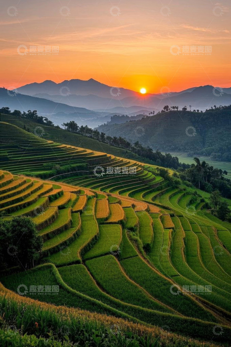 高清大图下载【趣麦麦图】夕阳下的绿色梯田景观