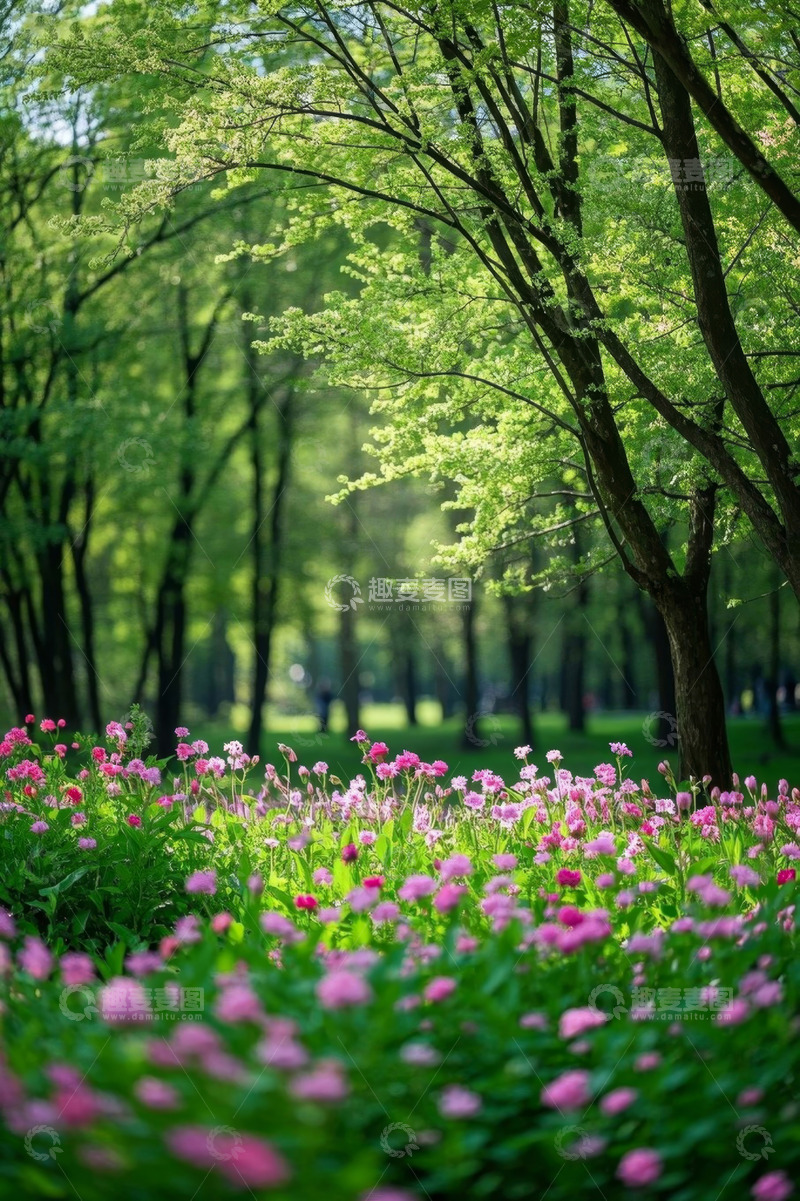 高清大图下载【趣麦麦图】公园繁花绿树自然风光