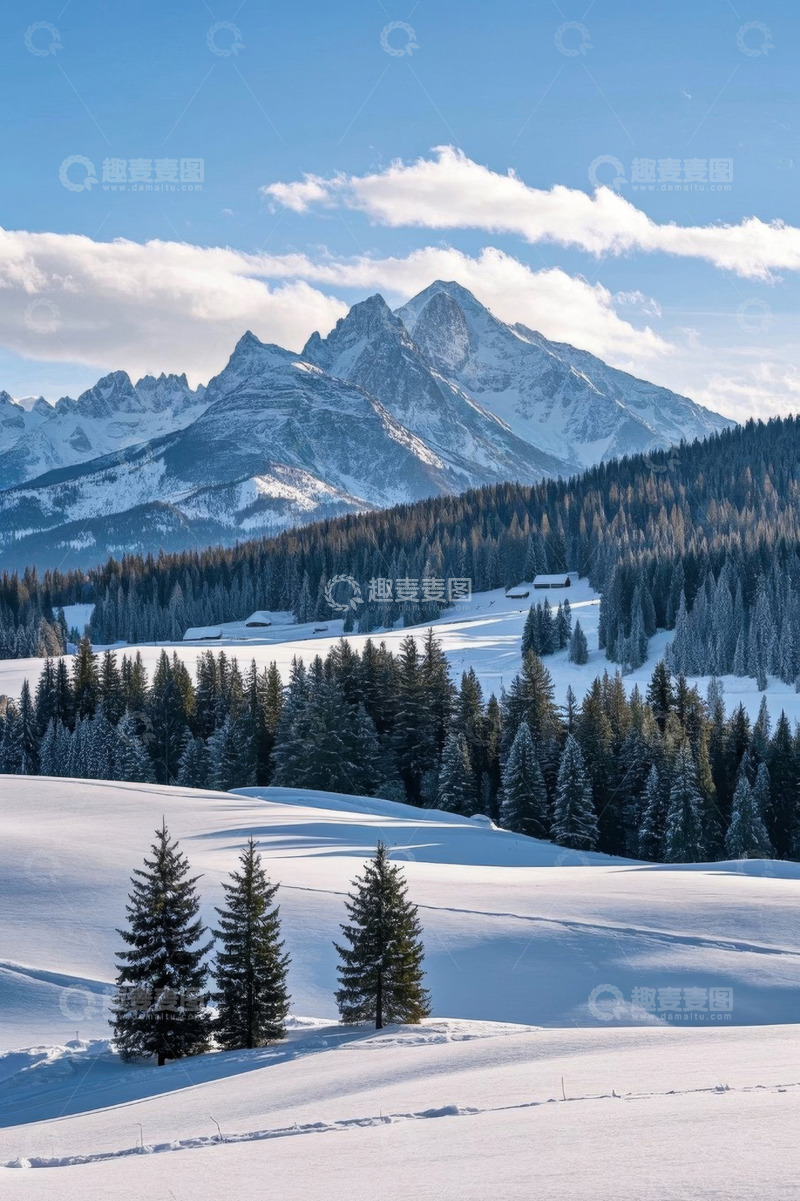 高清大图下载【趣麦麦图】雪山森林雪景自然风光