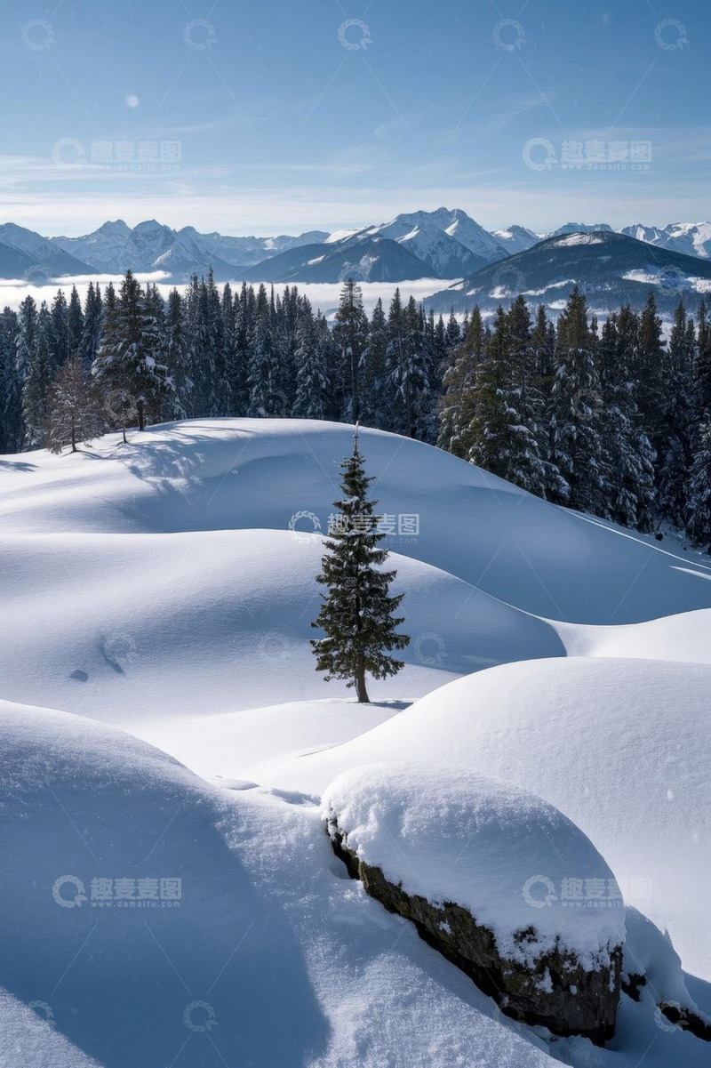 高清大图下载【趣麦麦图】雪中山林与远处山脉景观