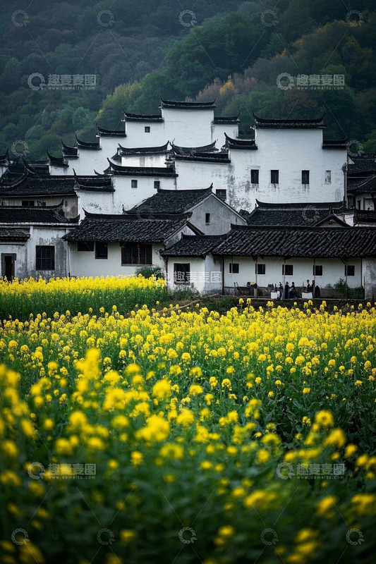 婺源油菜花田旁的徽派建筑