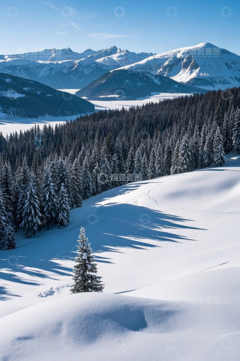 高清大图下载【趣麦麦图】雪覆山林与远山风景