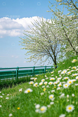 湖边开花树木与草地花卉风景