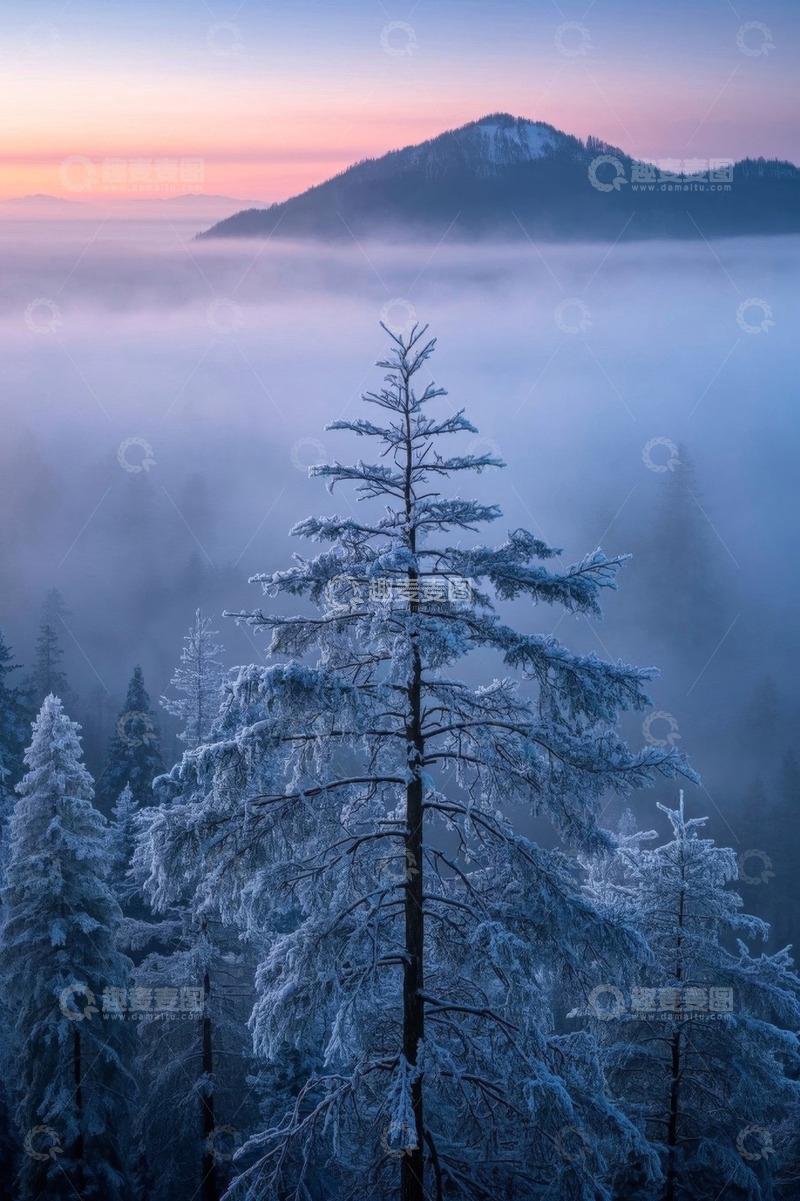 高清大图下载【趣麦麦图】雪覆山林与远山晨景