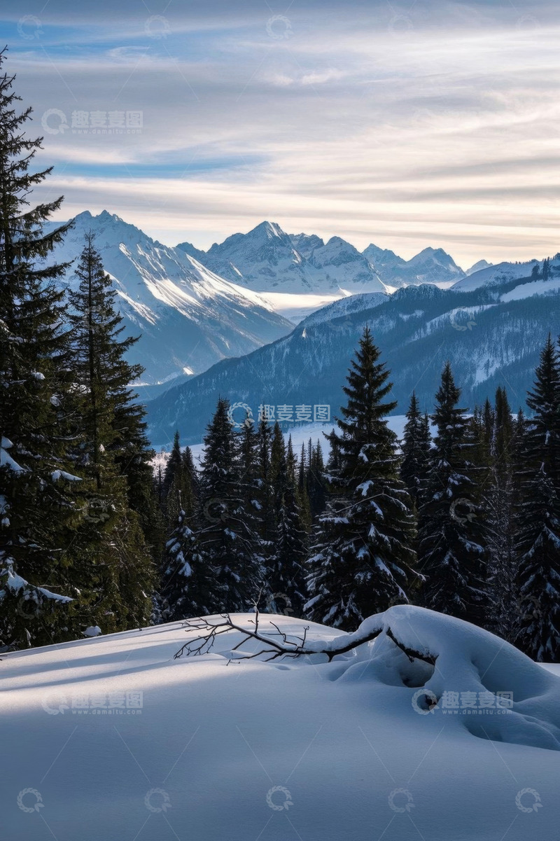 高清大图下载【趣麦麦图】雪覆山林与远处雪山景观