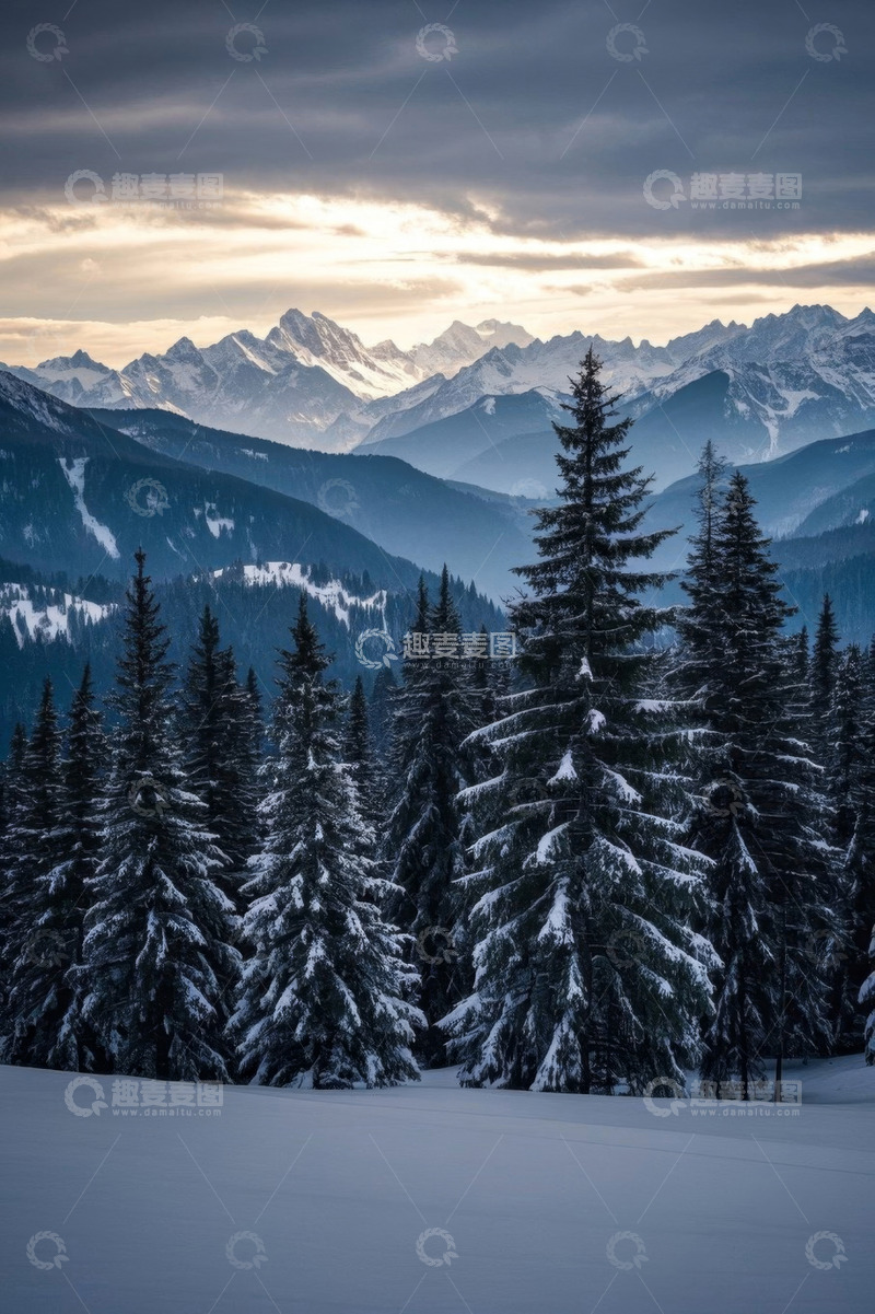 高清大图下载【趣麦麦图】雪覆盖的山林与远处山脉景观