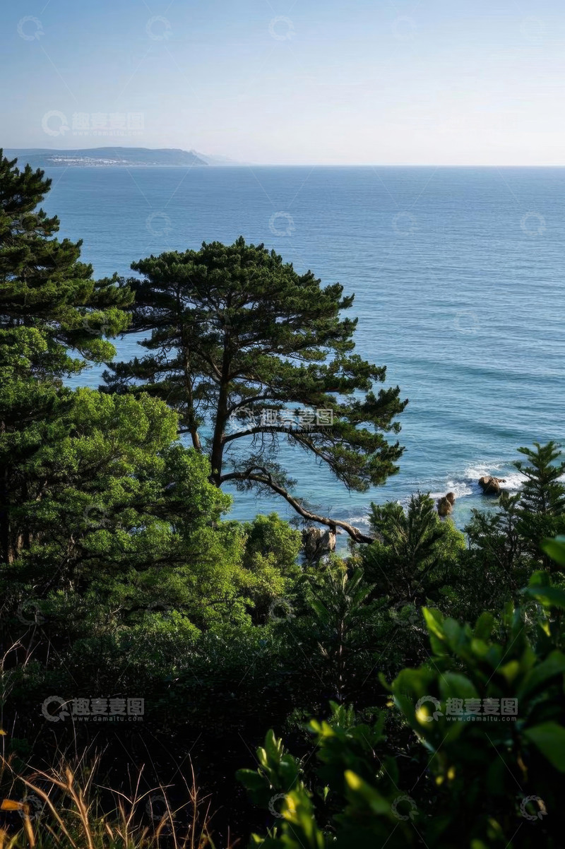 高清大图下载【趣麦麦图】海岸边茂密树林与海洋景观