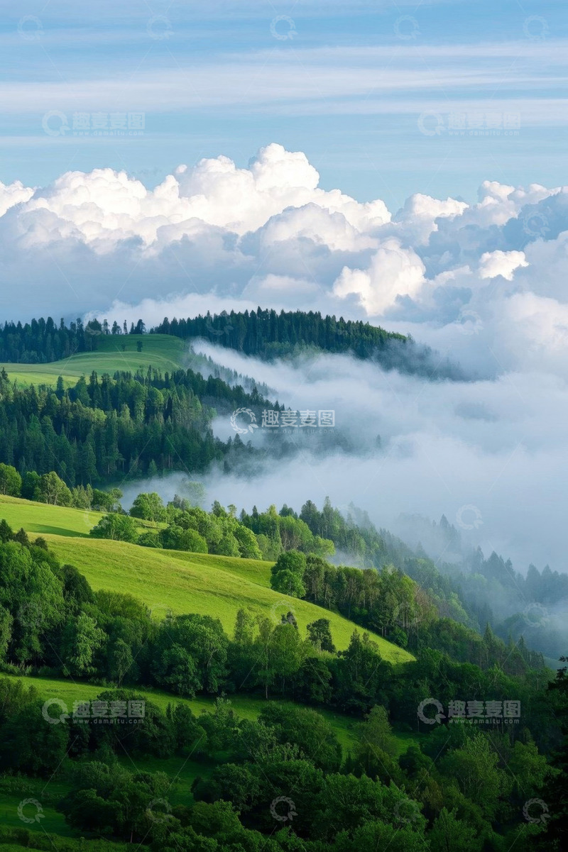 高清大图下载【趣麦麦图】山间云雾缭绕的森林景观