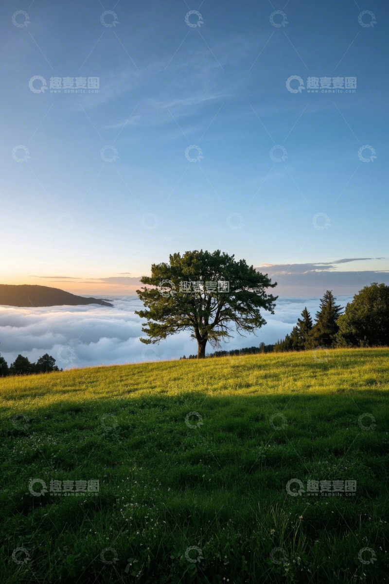 高清大图下载【趣麦麦图】山顶草地孤树云海风光