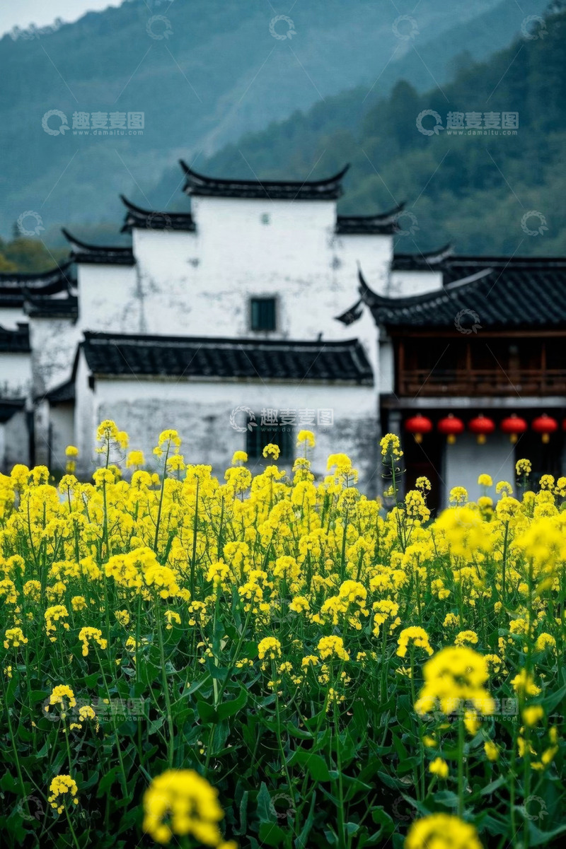 高清大图下载【趣麦麦图】油菜花田中的徽派建筑