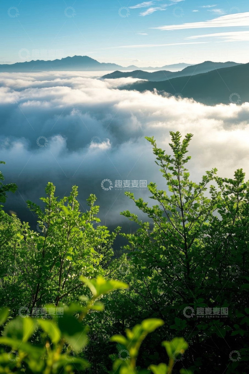 高清大图下载【趣麦麦图】山间云海与前景绿植景观