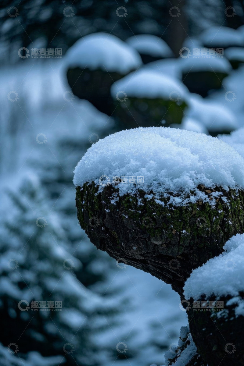 高清大图下载【趣麦麦图】积雪覆盖的树桩与背景森林
